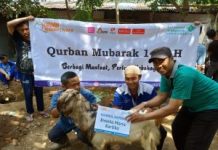 Qurban 1440 H, LAZ Al Irsyad Purwokerto Salurkan 9 Sapi dan 76 Kambing/Domba